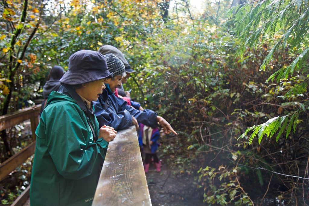 Adults looking at salmon